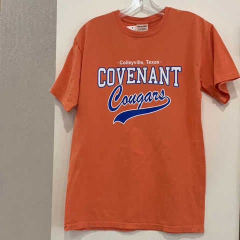 CGS - Comfort Wash Tee