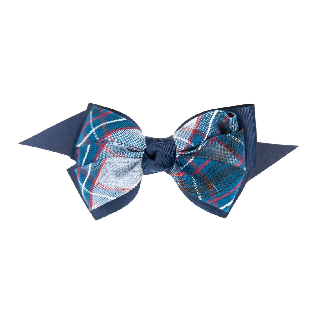 CCS Pinwheel Bow