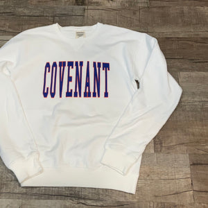CGS Ladies Comfort Wash Crewneck Sweatshirt