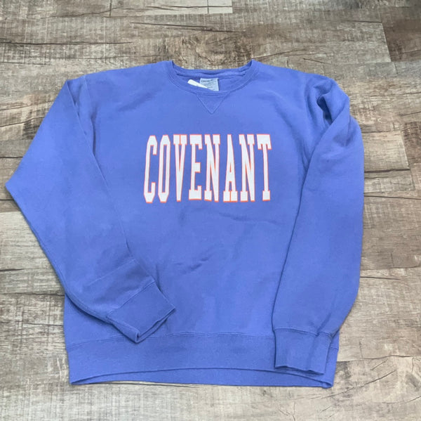 CGS Ladies Comfort Wash Crewneck Sweatshirt